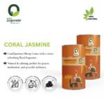 Coral Jasmine Dhoop Cone - Image 3