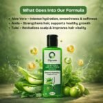 Amla Tulsi and  Aloe Vera Shampoo 200ml - Image 2