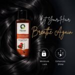 Hibiscus & Shikakai Shampoo – 200ml - Image 4