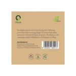 Orgoveda 100% Natural Luxury Fragrance Eucalyptus Incense Sticks – Pack of 50 sticks - Image 2