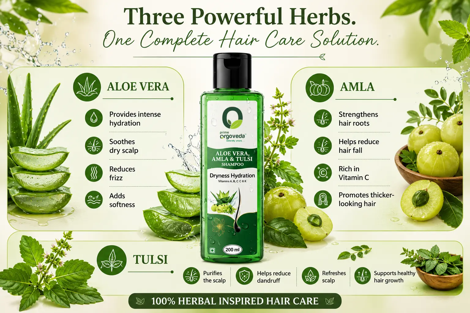 Amla Tulsi and Aloe Vera Shampoo