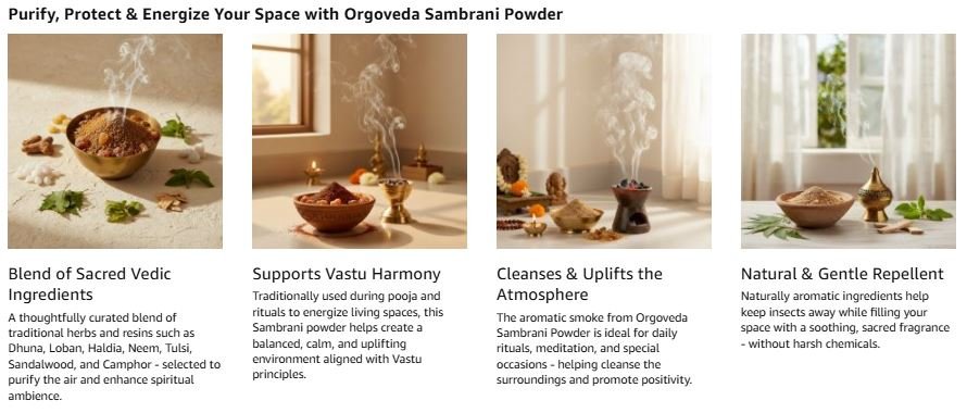 Singapore Divine Sambrani Powder