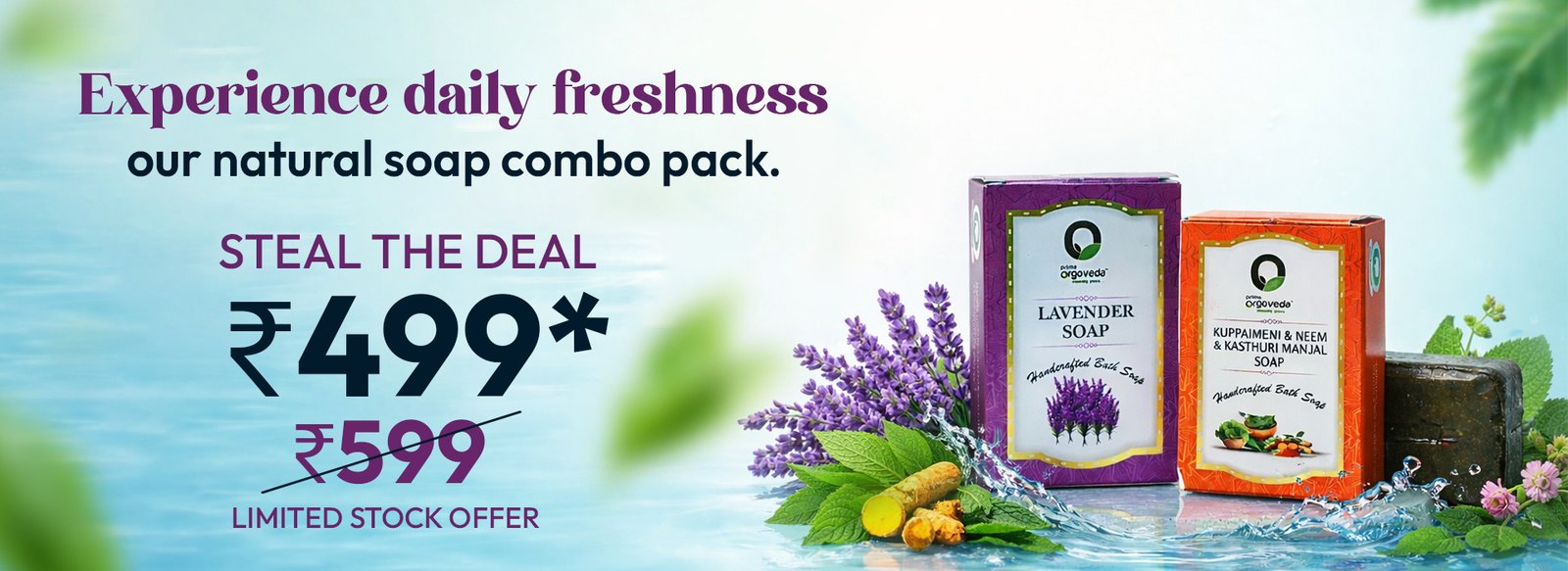 Website Banner Offer 02.jpg