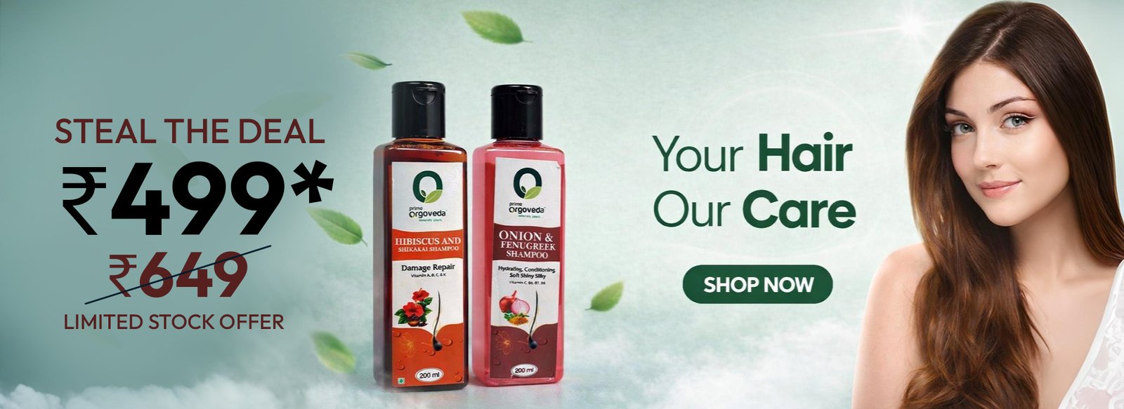 Website Banner Offer 03.jpg