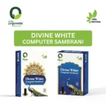 Divine White Computer Sambrani
