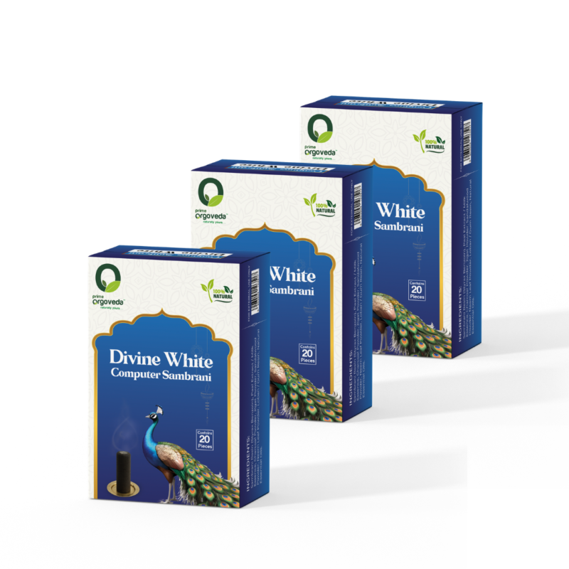 Divine White Computer Sambrani