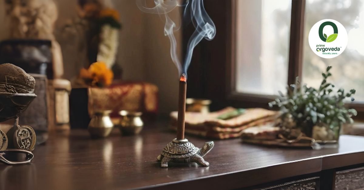 Turtle Shaped Incense Stick Holders