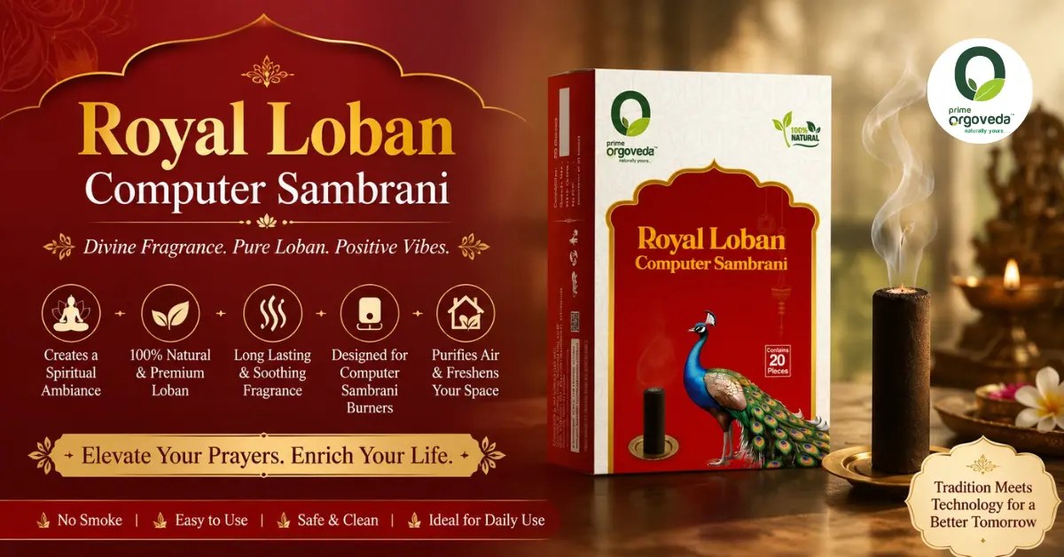 Royal Loban Computer Sambrani