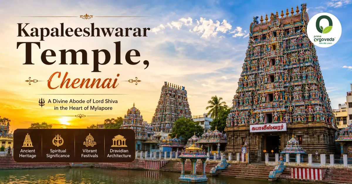 Kapaleeshwarar Temple