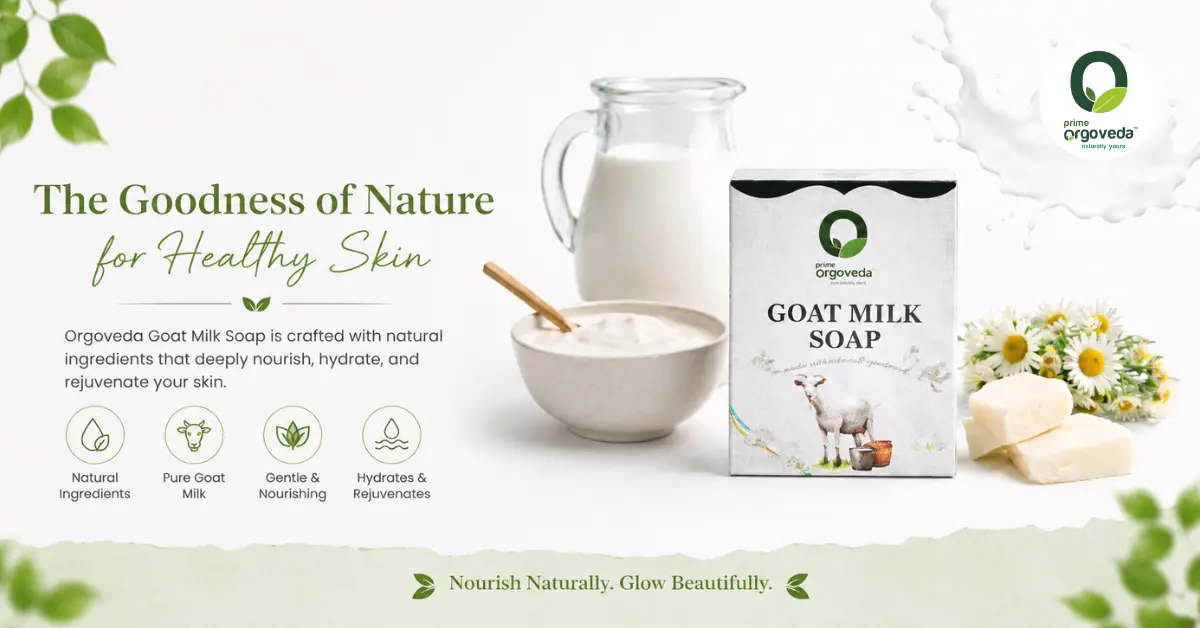 Goat Milk Soap in Chennai