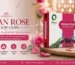 Indian Rose Dhoop Cups