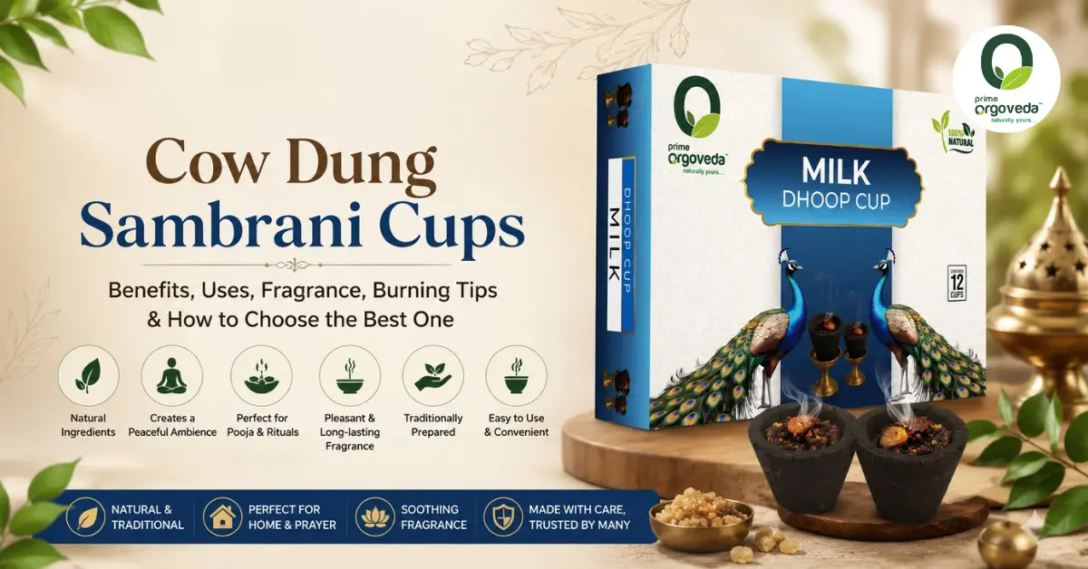 Cow Dung Sambrani Cups