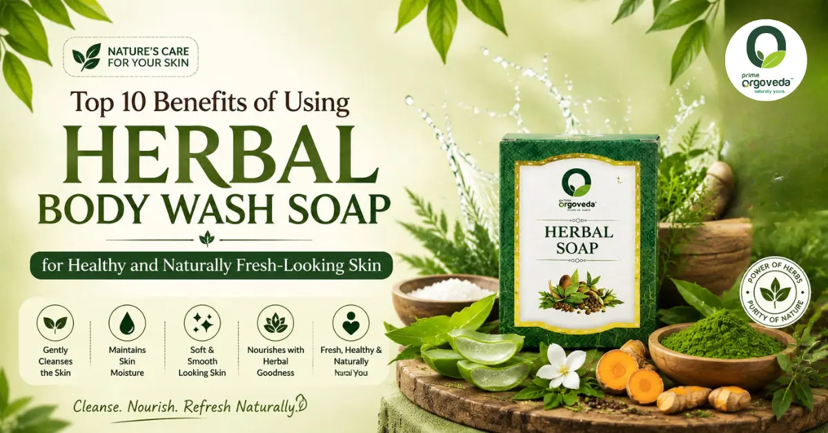 Herbal Body Wash Soap
