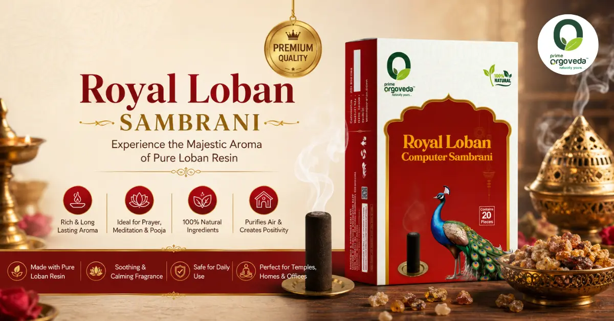 Royal Loban Sambrani