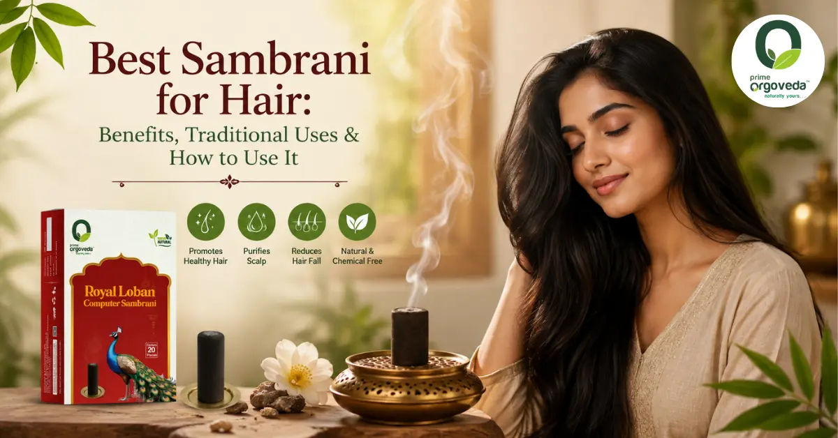 Best Sambrani for Hair